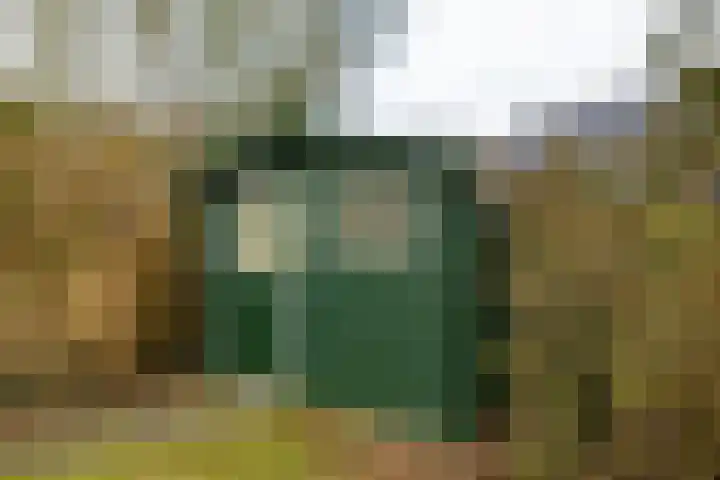 Holle Drift 77 Schipborg thumbnail 40
