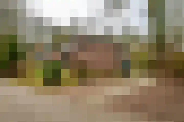 Holle Drift 77 Schipborg thumbnail 41