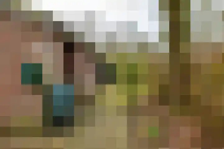 Holle Drift 77 Schipborg thumbnail 42