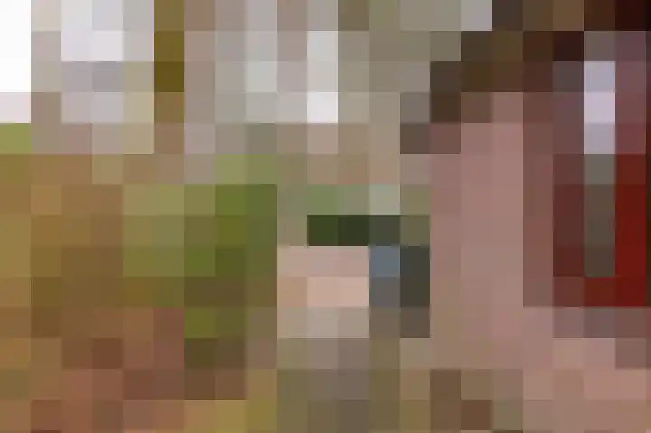 Holle Drift 77 Schipborg thumbnail 43
