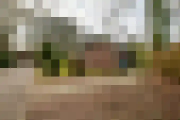 Holle Drift 77 Schipborg thumbnail 44