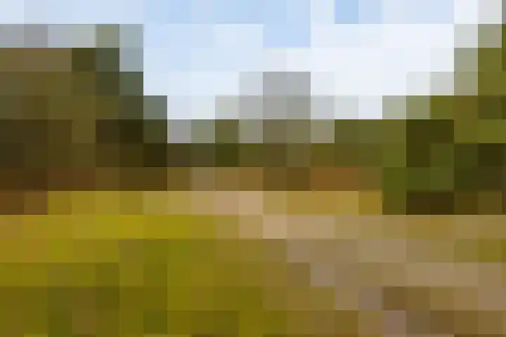 Holle Drift 77 Schipborg thumbnail 46