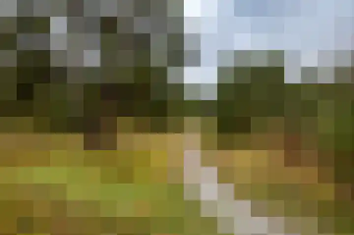 Holle Drift 77 Schipborg thumbnail 47