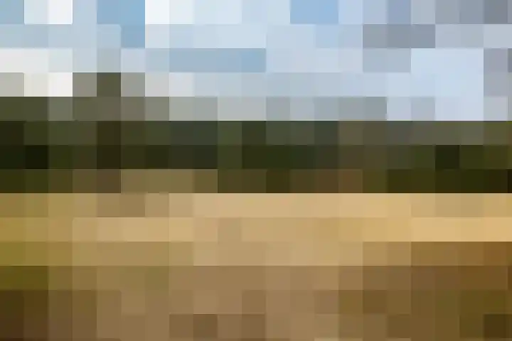Holle Drift 77 Schipborg thumbnail 48