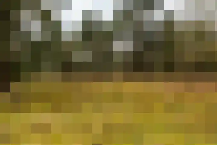 Holle Drift 77 Schipborg thumbnail 49