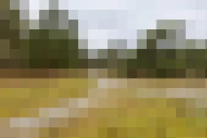 Holle Drift 77 Schipborg thumbnail 50