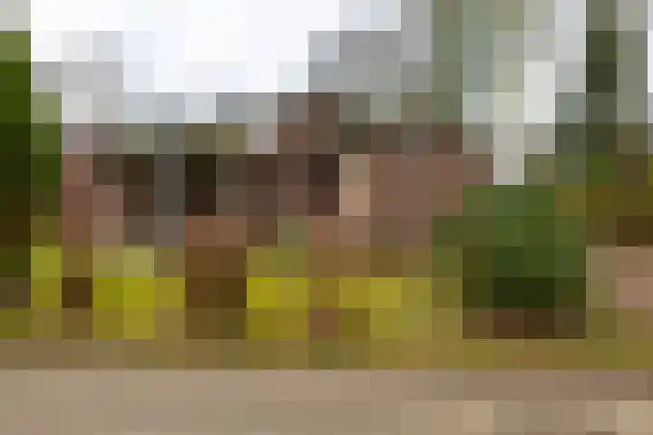 Holle Drift 77 Schipborg thumbnail 7