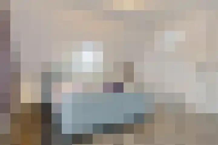Hollesteeg 6 Boxmeer thumbnail 23