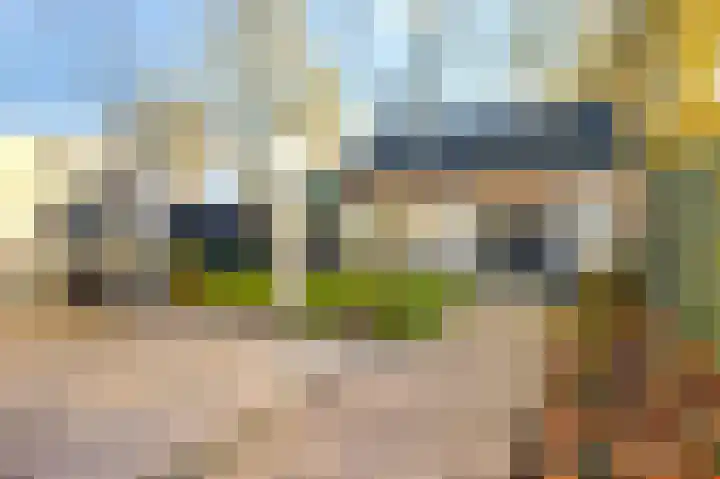 Hollesteeg 6 Boxmeer thumbnail 34