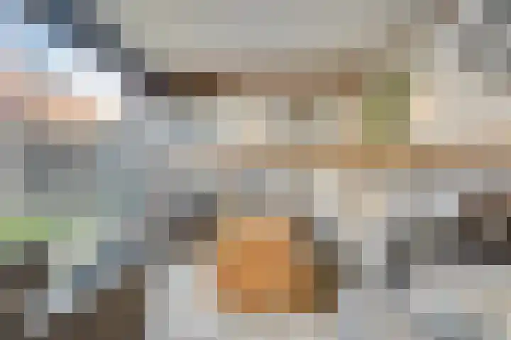 Hollesteeg 6 Boxmeer thumbnail 36