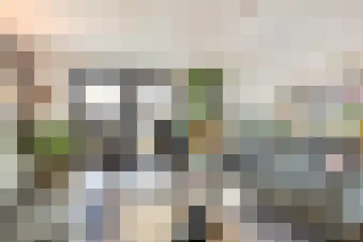 Hollesteeg 6 Boxmeer thumbnail 5