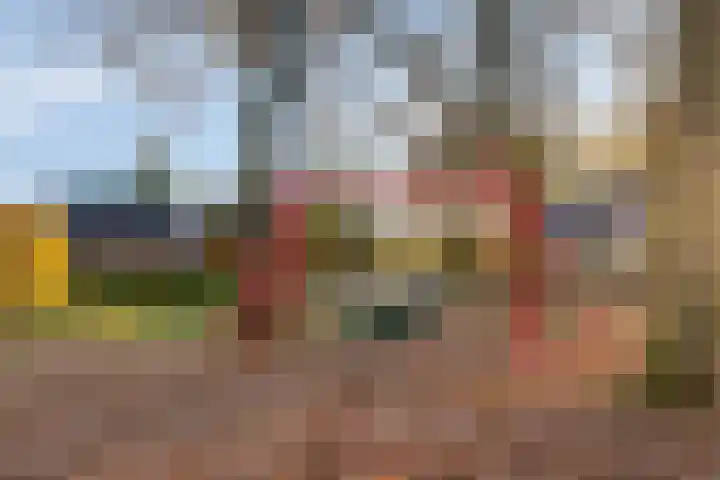 Hollesteeg 6 Boxmeer thumbnail 50