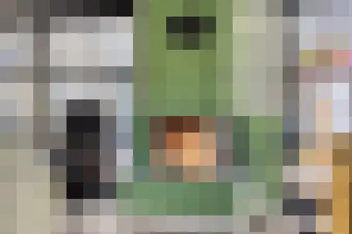 Hollesteeg 6 Boxmeer thumbnail 7