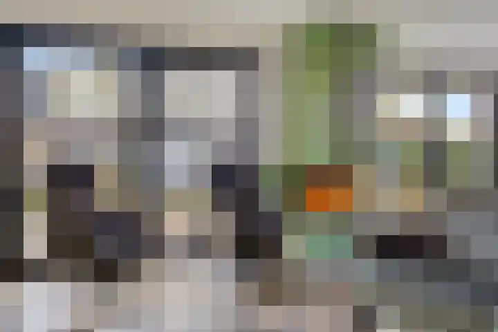 Hollesteeg 6 Boxmeer thumbnail 8