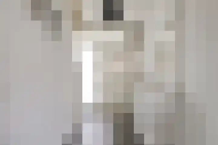 Hollestraat 21 Someren thumbnail 21