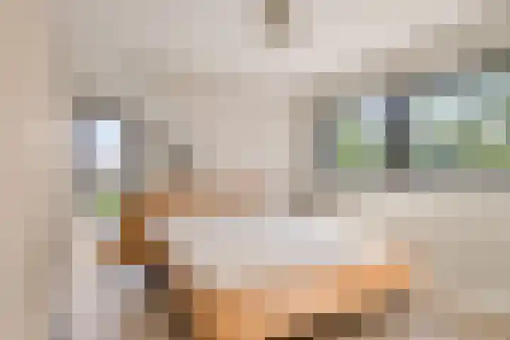 Hollestraat 21 Someren thumbnail 25