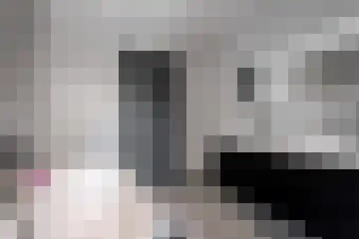 Hollestraat 21 Someren thumbnail 30