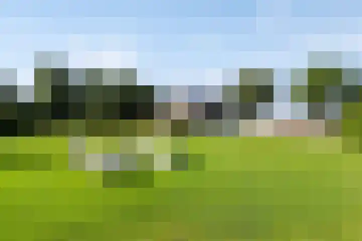 Hollestraat 21 Someren thumbnail 4