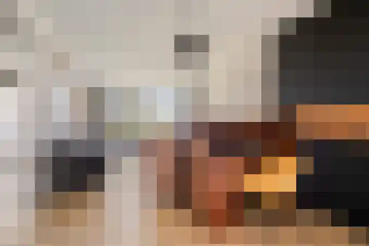 Hollestraat 21 Someren thumbnail 8