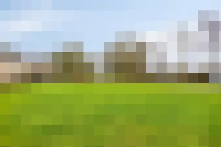 Hollewand 41 Hattem thumbnail 40
