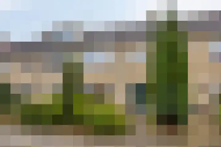 Hollewand 41 Hattem thumbnail 47