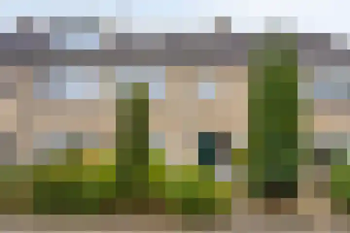 Hollewand 41 Hattem thumbnail 49