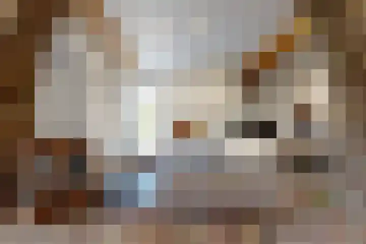 Holleweg 22 Schinnen thumbnail 16