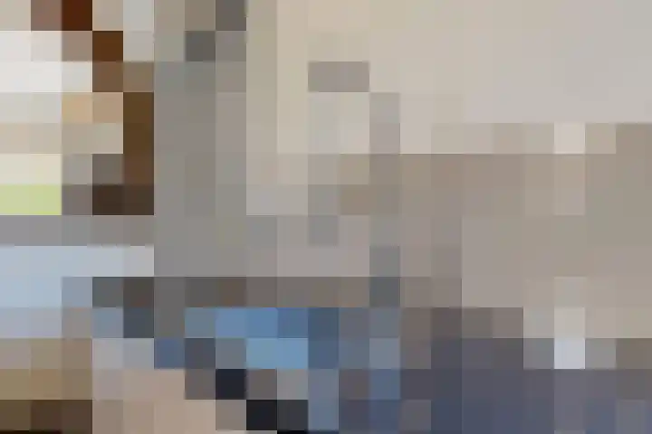 Holleweg 22 Schinnen thumbnail 23