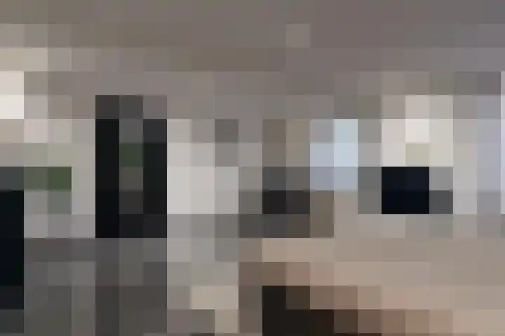 Holleweg 22 Schinnen thumbnail 24
