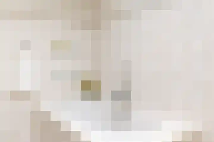 Holleweg 22 Schinnen thumbnail 33