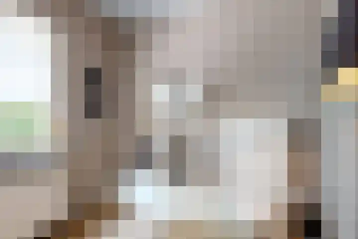 Holleweg 22 Schinnen thumbnail 50