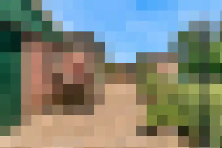 Holleweg 22 Schinnen thumbnail 74