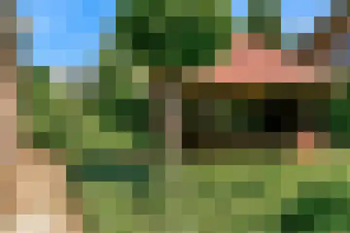 Holleweg 22 Schinnen thumbnail 77