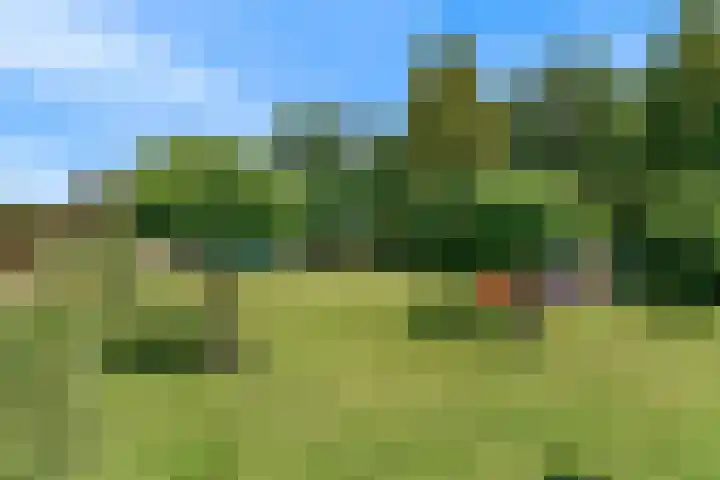 Holleweg 22 Schinnen thumbnail 79