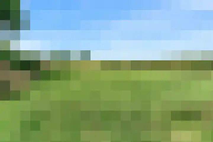 Holleweg 22 Schinnen thumbnail 85
