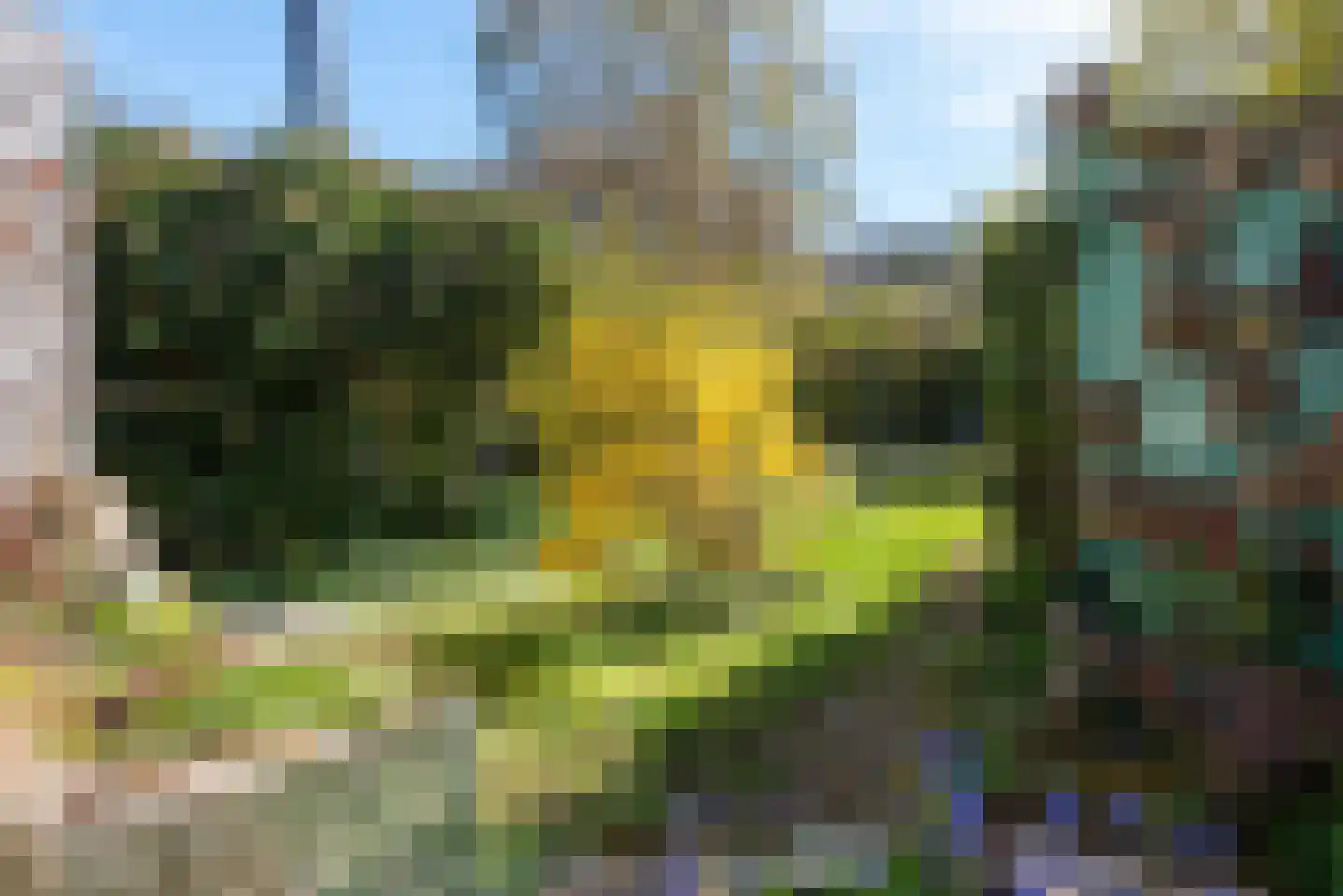 Holleweg 68 Heiloo thumbnail 22