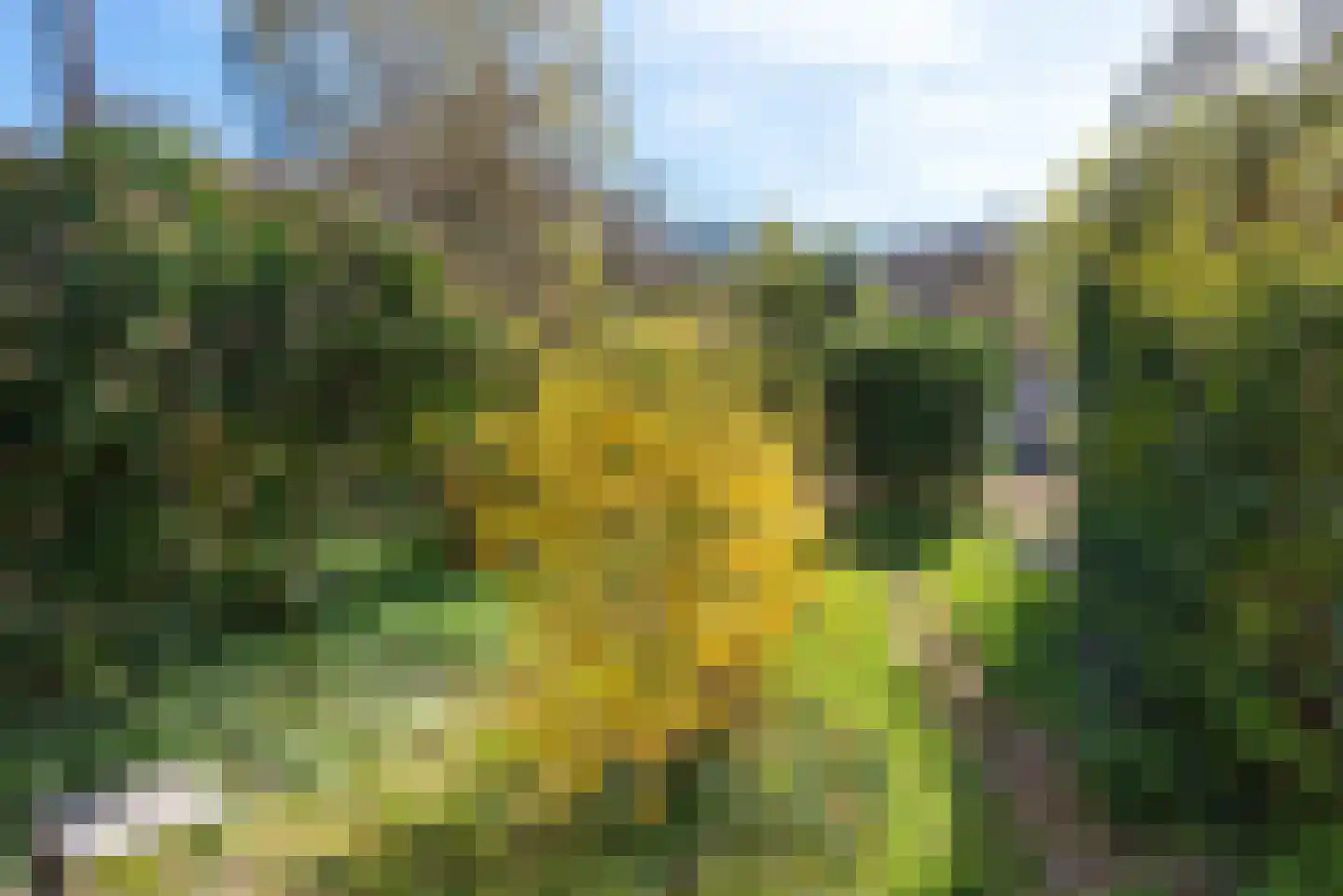 Holleweg 68 Heiloo thumbnail 23
