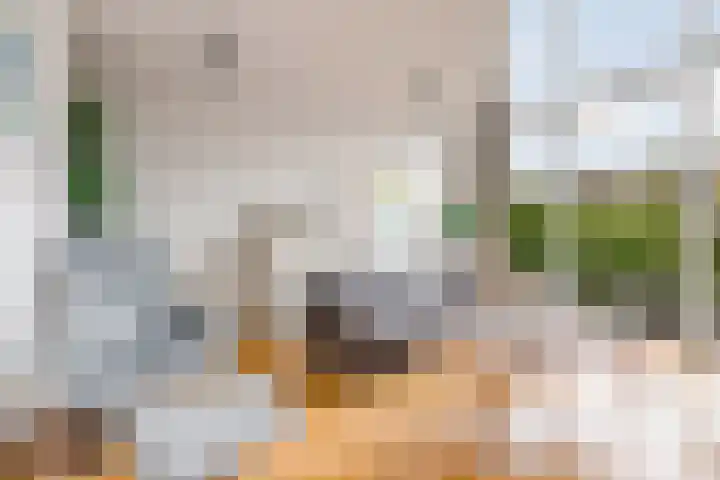 Hollywoodlaan 110 Almere thumbnail 11