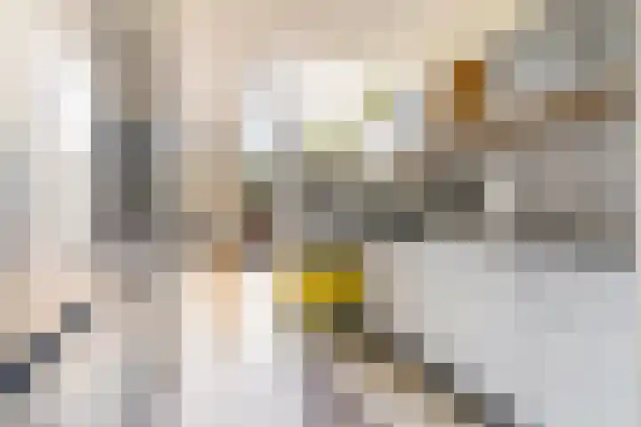 Hollywoodlaan 110 Almere thumbnail 17