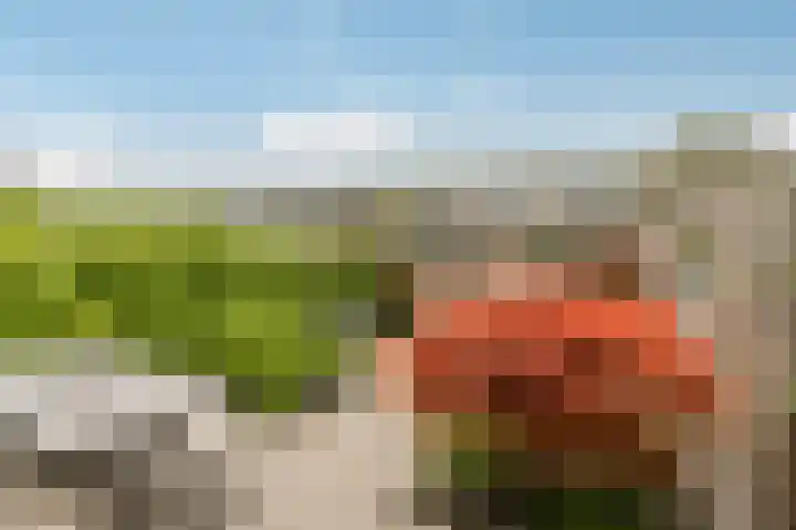 Hollywoodlaan 110 Almere thumbnail 35