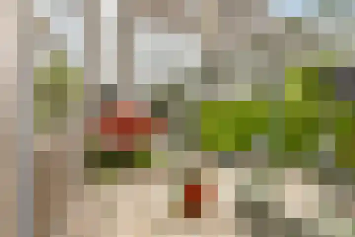 Hollywoodlaan 110 Almere thumbnail 37