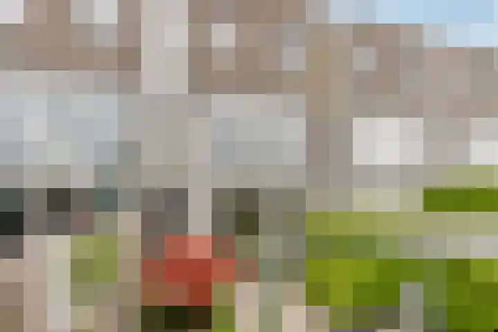 Hollywoodlaan 110 Almere thumbnail 38