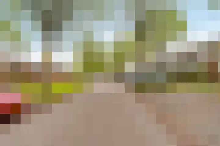 Hollywoodlaan 110 Almere thumbnail 42
