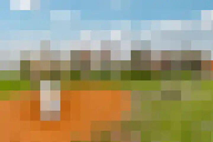 Hollywoodlaan 110 Almere thumbnail 44