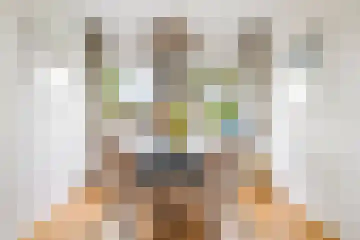 Hollywoodlaan 110 Almere thumbnail 9