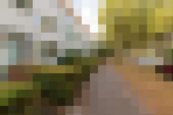 Hollywoodlaan 148 Almere thumbnail 6
