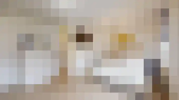 Holsberg 20 Urmond thumbnail 13