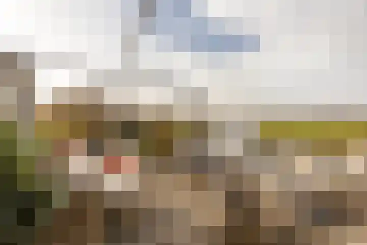 Holsberg 39 Urmond thumbnail 36