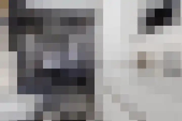 Holsberg 39 Urmond thumbnail 4