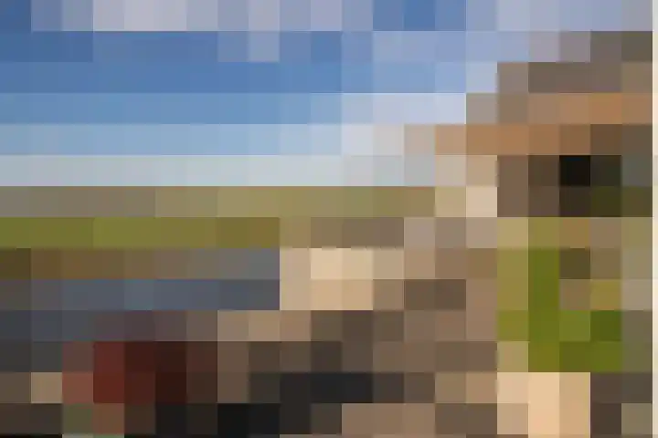 Holsberg 39 Urmond thumbnail 43